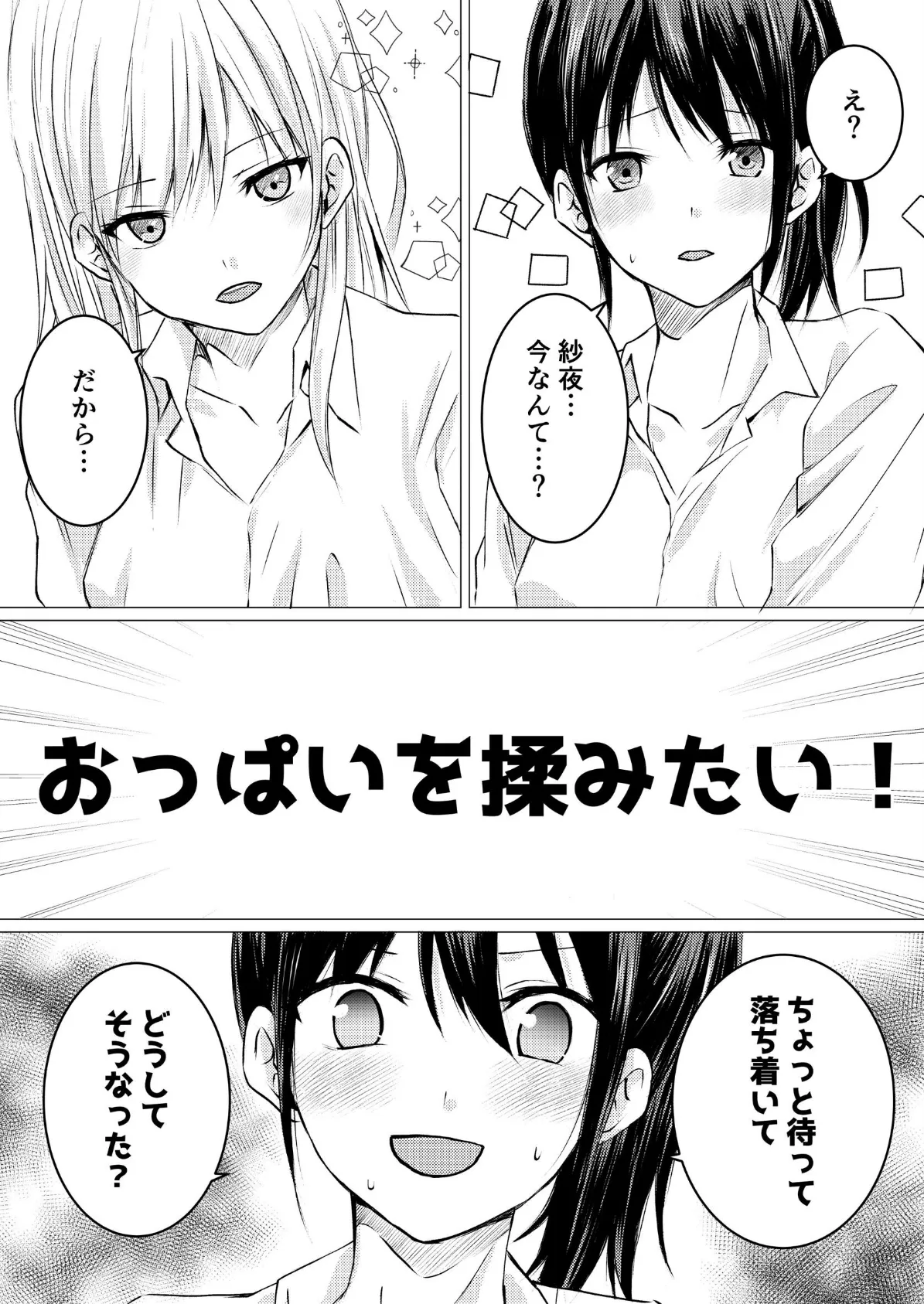 女の子だって、おっぱいを揉みたい！ 3ページ