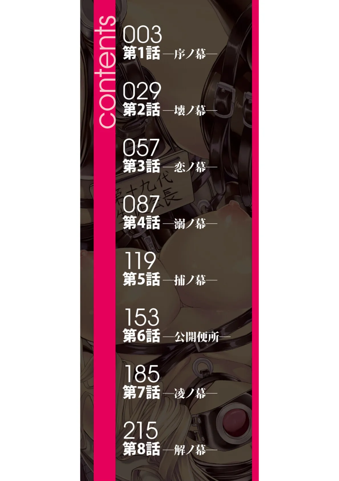 公開便所【ハイグレード版】 2ページ