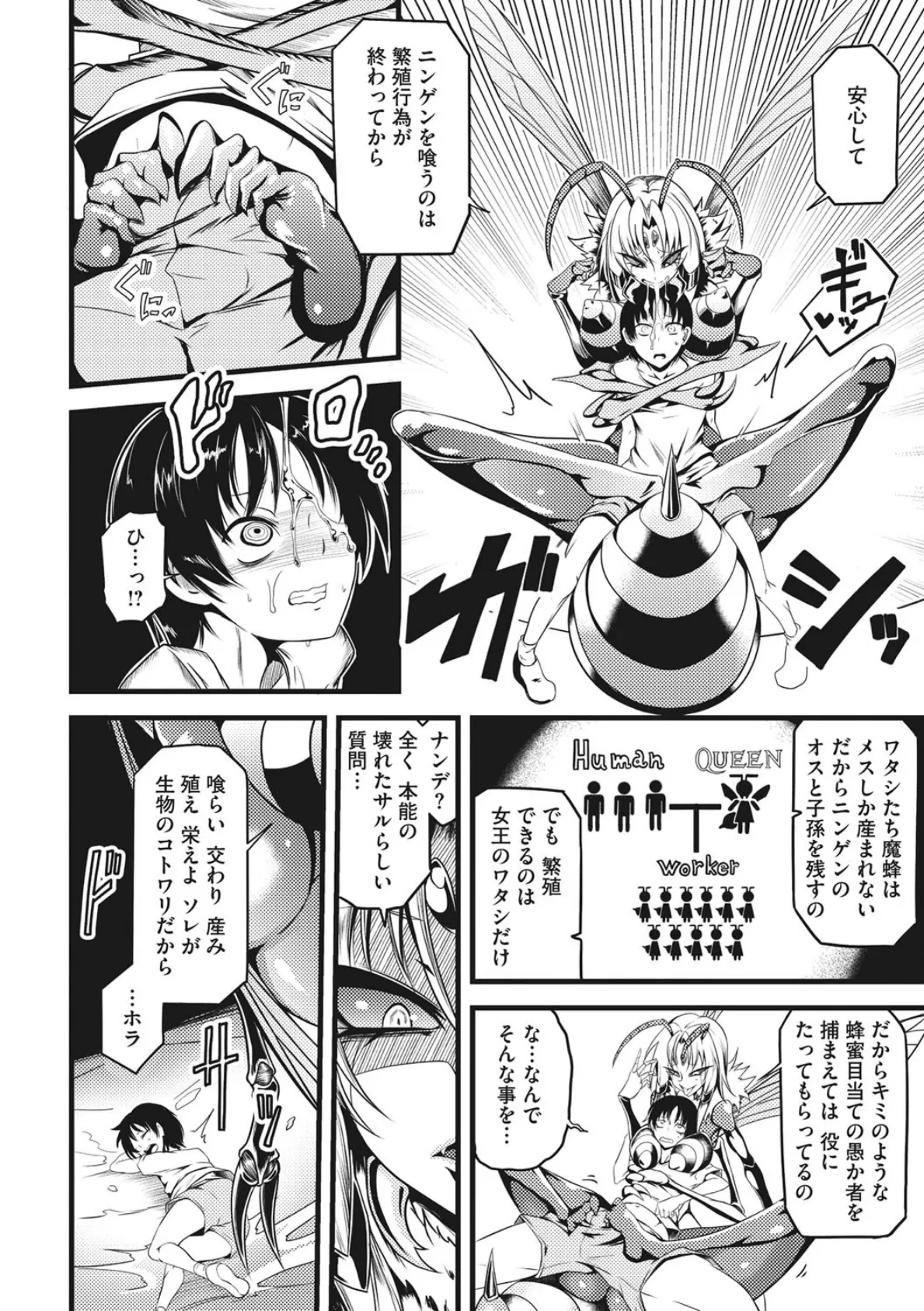 外楽 Vol.8&もももけものも【お得なセット売り版】 ★壁紙おまけつき 30ページ