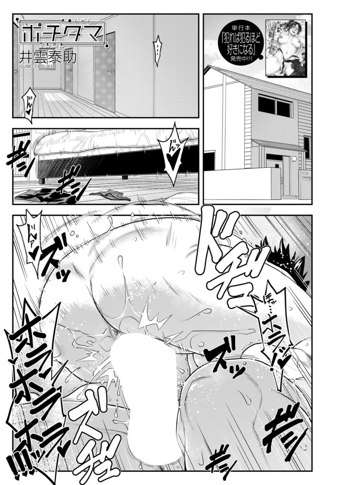 ポチタマ （井雲泰助）